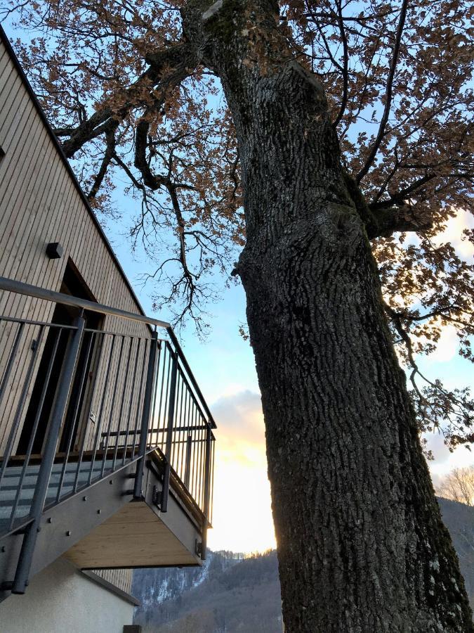 Kampenzeit Loft Mit Traumhaftem Panoramablick Daire Aschau im Chiemgau Dış mekan fotoğraf